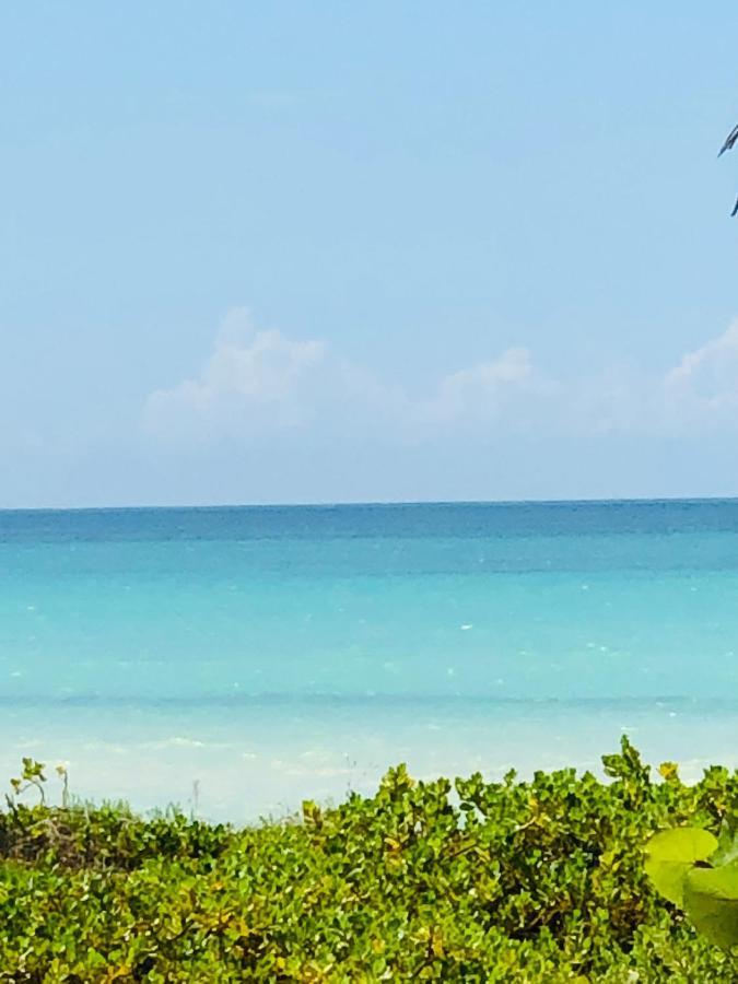 Cabana Colibri A 50 Metros De La Playa Apartman El Cuyo Kültér fotó